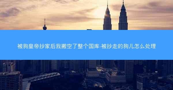 被狗皇帝抄家后我搬空了整个国库-被抄走的狗儿怎么处理