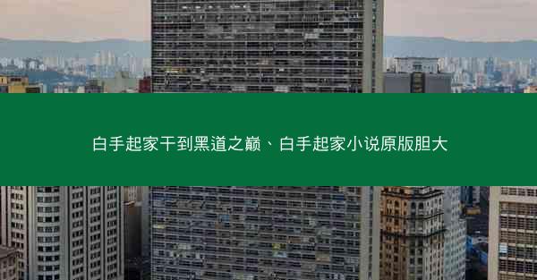 白手起家干到黑道之巅、白手起家小说原版胆大