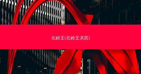 北岭王(北岭王洪民)