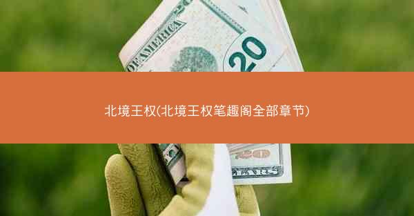 北境王权(北境王权笔趣阁全部章节)