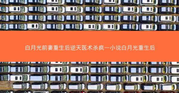 白月光前妻重生后逆天医术杀疯—小说白月光重生后