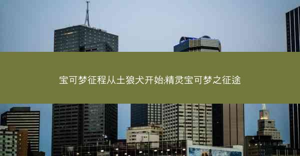 宝可梦征程从土狼犬开始;精灵宝可梦之征途