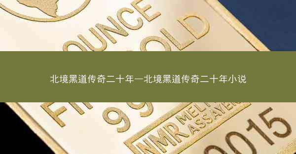 北境黑道传奇二十年—北境黑道传奇二十年小说
