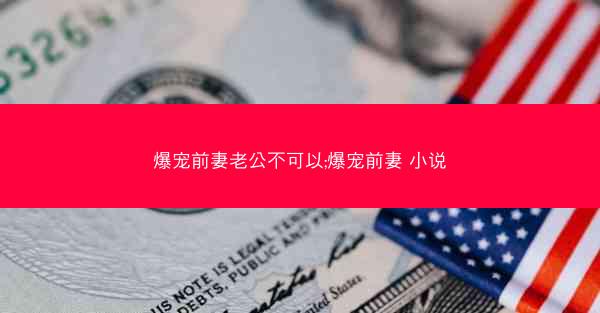 爆宠前妻老公不可以;爆宠前妻 小说