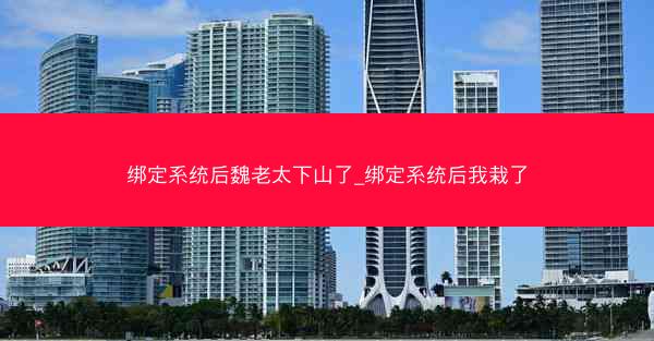 绑定系统后魏老太下山了_绑定系统后我栽了