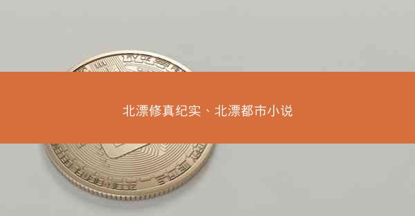 北漂修真纪实、北漂都市小说