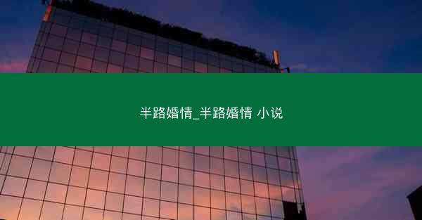 半路婚情_半路婚情 小说
