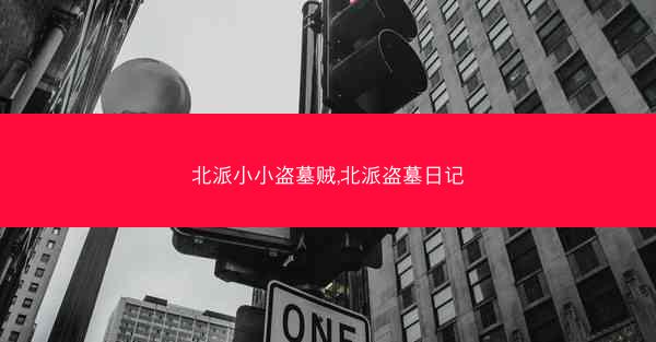 北派小小盗墓贼,北派盗墓日记