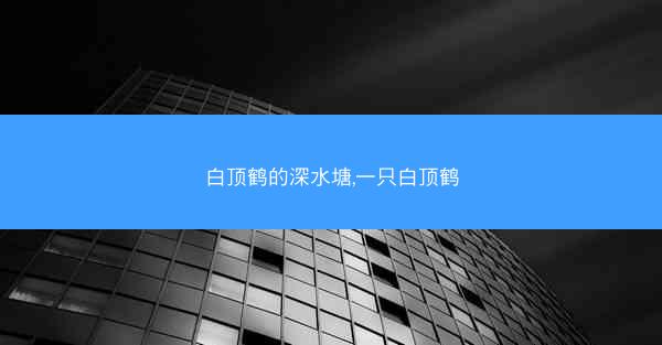 白顶鹤的深水塘,一只白顶鹤