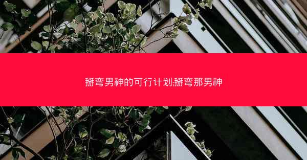 掰弯男神的可行计划;掰弯那男神
