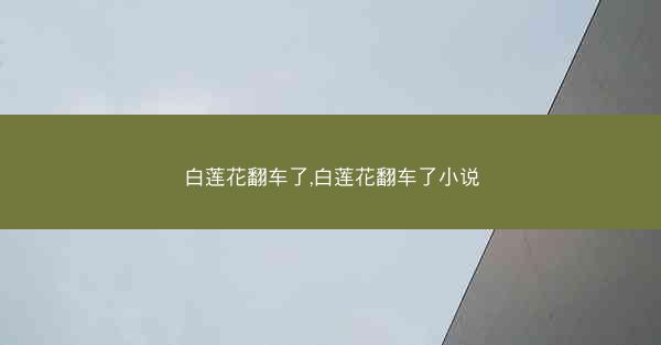 白莲花翻车了,白莲花翻车了小说
