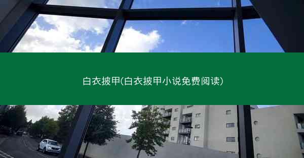 白衣披甲(白衣披甲小说免费阅读)