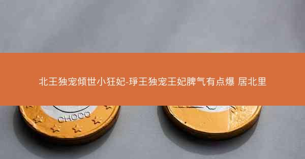 北王独宠倾世小狂妃-琤王独宠王妃脾气有点爆 居北里