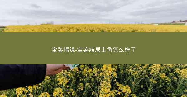 宝鉴情缘-宝鉴结局主角怎么样了