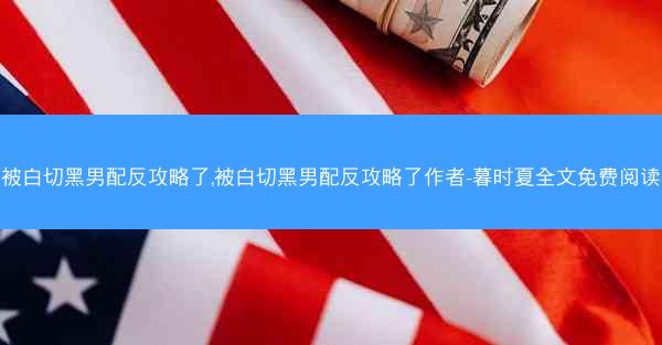 被白切黑男配反攻略了,被白切黑男配反攻略了作者-暮时夏全文免费阅读