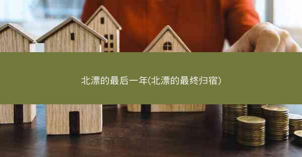 北漂的最后一年(北漂的最终归宿) 北漂的最后一年(北漂的最终归宿)