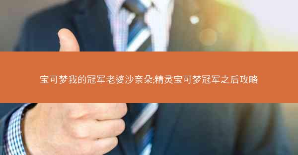 宝可梦我的冠军老婆沙奈朵;精灵宝可梦冠军之后攻略