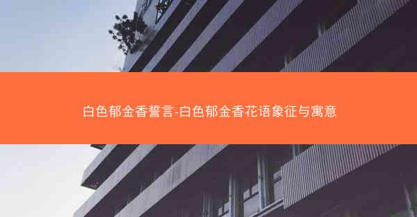白色郁金香誓言-白色郁金香花语象征与寓意