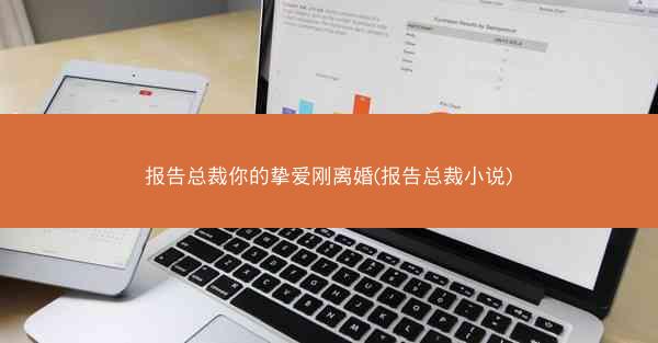 报告总裁你的挚爱刚离婚(报告总裁小说)