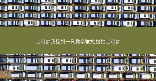 宝可梦我捡到一只露奈雅拉,捡拾宝可梦
