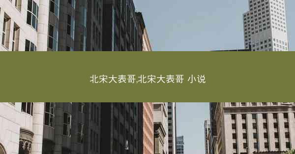 北宋大表哥,北宋大表哥 小说