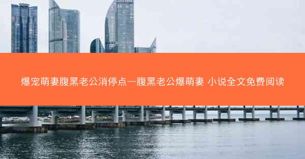 爆宠萌妻腹黑老公消停点—腹黑老公爆萌妻 小说全文免费阅读