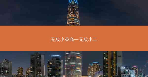 无敌小茶商—无敌小二