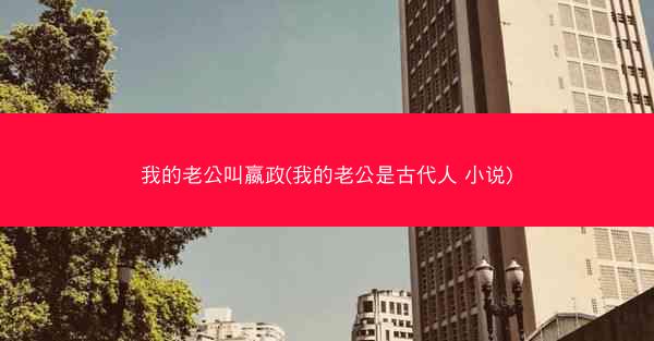我的老公叫嬴政(我的老公是古代人 小说)