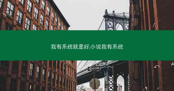 我有系统就是好,小说我有系统
