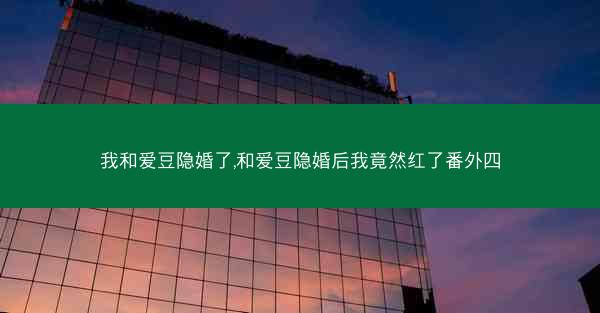 我和爱豆隐婚了,和爱豆隐婚后我竟然红了番外四