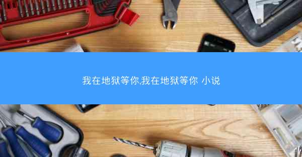我在地狱等你,我在地狱等你 小说