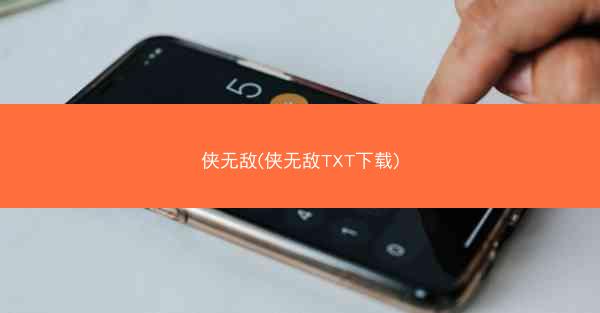 侠无敌(侠无敌TXT下载)