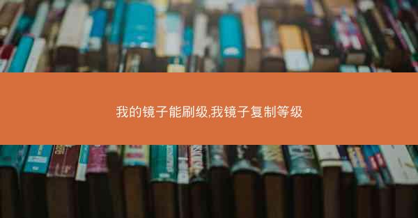 我的镜子能刷级,我镜子复制等级