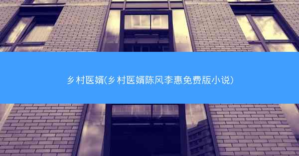 乡村医婿(乡村医婿陈风李惠免费版小说)