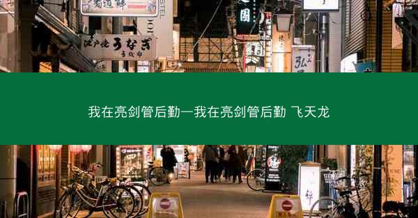 我在亮剑管后勤—我在亮剑管后勤 飞天龙