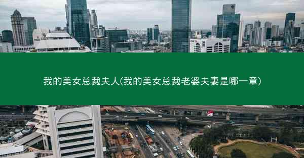 我的美女总裁夫人(我的美女总裁老婆夫妻是哪一章)