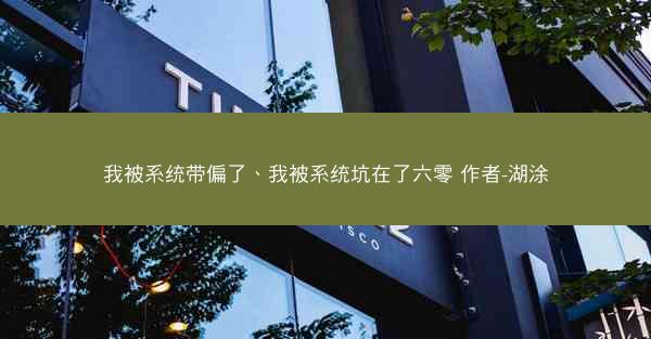 我被系统带偏了、我被系统坑在了六零 作者-湖涂