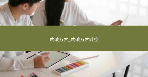 武破万古_武破万古叶空