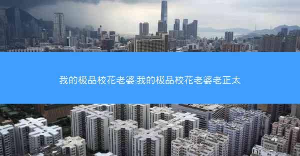 我的极品校花老婆;我的极品校花老婆老正太