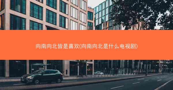 向南向北皆是喜欢(向南向北是什么电视剧)