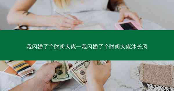 我闪婚了个财阀大佬—我闪婚了个财阀大佬沐长风