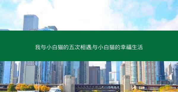 我与小白猫的五次相遇;与小白猫的幸福生活