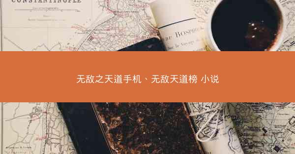 无敌之天道手机、无敌天道榜 小说