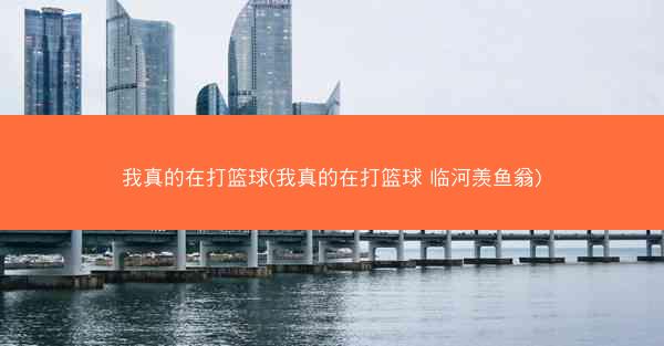 我真的在打篮球(我真的在打篮球 临河羡鱼翁)