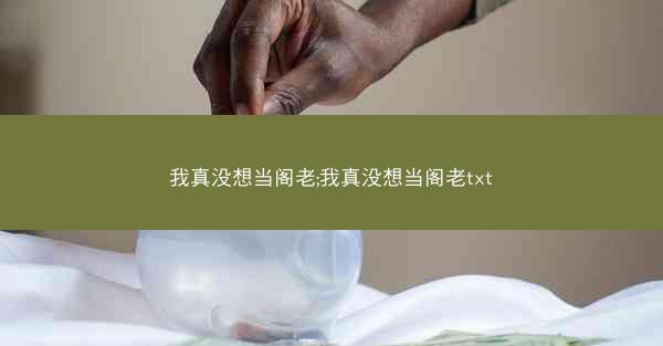 我真没想当阁老;我真没想当阁老txt