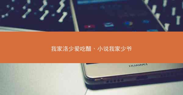 我家洛少爱吃醋、小说我家少爷