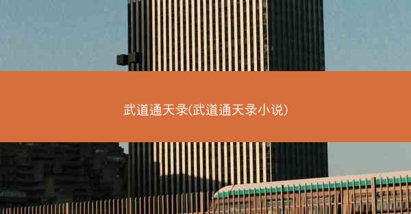 武道通天录(武道通天录小说)