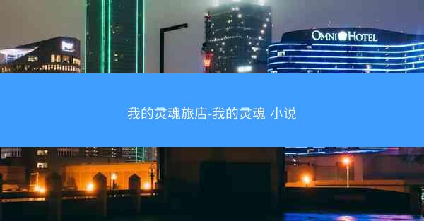 我的灵魂旅店-我的灵魂 小说
