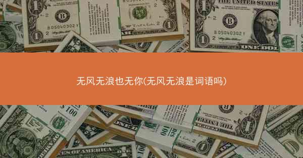 无风无浪也无你(无风无浪是词语吗)