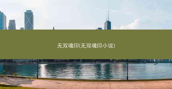 无双魂印(无双魂印小说)